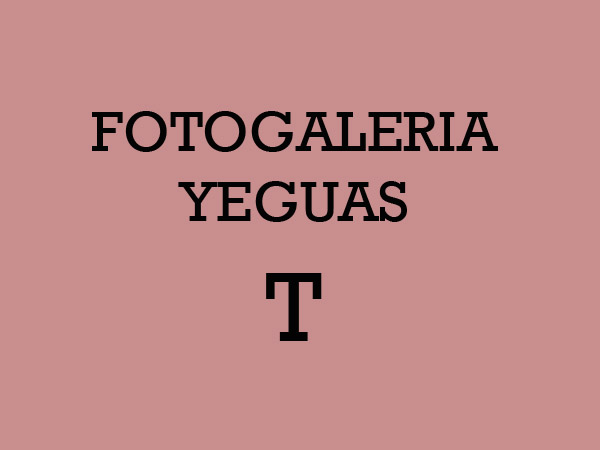 Yeguas Criollas T